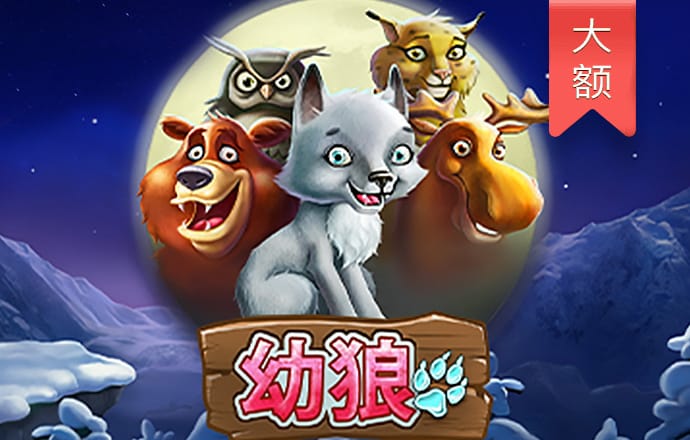 鸿博体育app官网登录